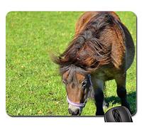 Mouse Pad, Cheval Poney Crinière Brun Petit Cheval Race Hippocampes 4 Tapis De Souris Antidérapante Gaming Mousepad Confort Souris De Bureau pour Professionnels Ordinateur Pc 25X30Cm