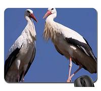 Mouse Pad, Cigogne Oiseau Oiseaux Nid Storchennest Nature Plumage Tapis De Souris Antidérapante Tapis De Souris D'Ordinateur Confort Souris De Bureau pour Pc Ordinateur Professionnels 25X30Cm