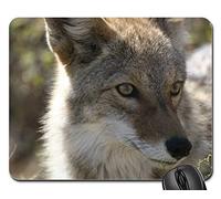 Mouse Pad, Coyote Wildlife Nature Park Prédateur Canin Sauvage 6 Gaming Mousepad Antidérapante Mousepad Durable Tapis De Gaming pour Ordinateur Pc Souris 25X30Cm