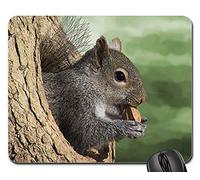Mouse Pad, Écureuil Arbre Nature Rongeur Monde Animal Bûche Mousepad Antidérapante Tapis De Souris Durable Tapis De Gaming pour Jeux Ordinateur Souris 25X30Cm