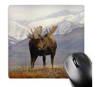 Mouse Pad Faune Et Flore des Orignaux du Parc National De Denali Lavable Tapis De Souris Étanche Accessoire Bureau pour Gamer Clavier Bureau 25X30Cm