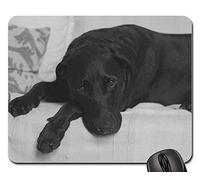 Mouse Pad, Labrador Retriever Black Lab Labrador Noir Tapis De Souris Antidérapante Tapis De Souris D'Ordinateur Durable Tapis De Gaming pour Pc Souris Jeux 25X30Cm