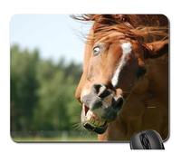 Mouse Pad, Le Cheval Konik Stupide Mina Drôle Dents Amusantes pour Animaux De Compagnie Tapis De Souris Antidérapante Gaming Mousepad Confort Souris De Bureau pour Pc Souris Jeux 25X30Cm