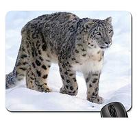 Mouse Pad, Léopard des Neiges Chat Prédateur Menacé Chat Sauvage des Neiges Gaming Mousepad Antidérapante Tapis De Souris Optimisé Souris De Bureau pour Pc Souris Ordinateur 25X30Cm