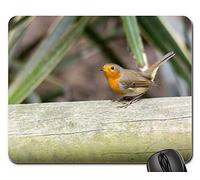 Mouse Pad, Oiseau Nature Faune Red Feather Redbreast Tapis De Souris Antidérapante Tapis De Souris De Jeu Portable Souris De Bureau pour Ordinateur Jeux Professionnels 25X30Cm