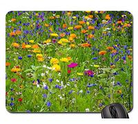 Mouse Pad, Pré De Fleurs Fleurs Sauvages Prairie De Fleurs Sauvages Mousepad Antidérapante Tapis De Souris Gamer Moderne sous Main Bureau pour Professionnels Pc Souris 25X30Cm