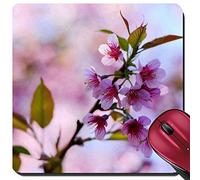 Mouse Pad, Sakura Roses À Chiangmai Tapis De Souris Base en Caoutchouc Tapis De Souris Gaming Antidérapante Souris De Gaming pour Ordinateur Souris 25X30Cm