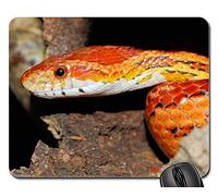 Mouse Pad, Serpent Natter Serpent des Blés Reptile Espèce Animale Gamer Mouse Pad Antidérapante Tapis De Souris Moderne Souris De Bureau pour Ordinateur Pc Souris 25X30Cm