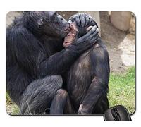 Mouse Pad, Soins Aux Mammifères Chimpanzés Dangereux Tapis De Souris Gamer Antidérapante Gaming Mousepad Portable Souris De Gaming pour Professionnels Ordinateur Jeux 25X30Cm