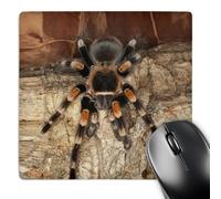 Mouse Pad Tarentule À Genoux Rouges Mexicaine, Araignée du Mexique, Adam Jones Résistant À Usure Mousepad Durables Accessoire Bureau pour Maison Bureau Gaming 25X30Cm