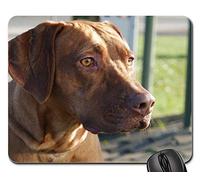 Mouse Pad, Tête d'animal De Compagnie pour Chien Ridgeback, Course Marron Gamer Mouse Pad Antidérapante Tapis De Souris Gamer Bords Cousus Souris De Gaming pour Ordinateur Jeux 25X30Cm