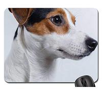 Mousepad, Chien Jack Russell Terrier Chiot Animal De Compagnie Adorable Gaming Mousepad Antidérapante Tapis De Souris Gamer Bords Cousus Tapis De Bureau pour Professionnels Pc Souris 25X30Cm