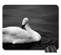 Mousepad, Cygne Noir Blanc Photo Oiseau d'eau Cygnet Oiseau Blanc Tapis Souris Antidérapante Mouse Pad Portable Souris De Gaming pour Ordinateur Pc Professionnels 25X30Cm