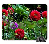 Mousepad, Dahlias Dahlia Rouge Fleur Bloom Fleur Tapis De Souris D'Ordinateur Antidérapante Gaming Mousepad Confort Souris De Bureau pour Pc Professionnels Ordinateur 25X30Cm