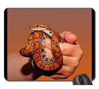 Mousepad, Écaille De Reptile Serpent Arc-en-Ciel Boa Tapis De Souris De Jeu Antidérapante Mouse Pad Confort Souris De Gaming pour Souris Professionnels Pc 25X30Cm