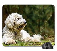 Mousepad, Golden Doodle Chien Arbre Nature Animal Arbre Chemin Tapis De Souris Antidérapante Mouse Pad Moderne Souris De Gaming pour Pc Souris Jeux 25X30Cm