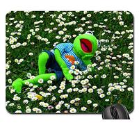 Mousepad, Kermit Frog Meadow Daisy Concerns Relax Rest Fun Gamer Mouse Pad Antidérapante Tapis De Souris D'Ordinateur Moderne Souris De Bureau pour Pc Souris Jeux 25X30Cm