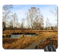 Mousepad, Lande Paysage Lac Étang Eaux Automne Biotope Tapis Souris Antidérapante Tapis De Souris Gamer Confort Souris De Gaming pour Ordinateur Pc Souris 25X30Cm