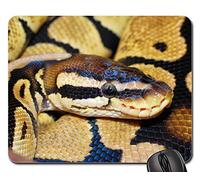 Mousepad, Serpent Python Ball Python Animal Scale Beauté Tapis Souris Antidérapante Tapis De Souris Durable Tapis De Gaming pour Pc Ordinateur Jeux 25X30Cm
