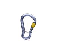 Black Diamond Gridlock Screwgate Carabiner Argenté