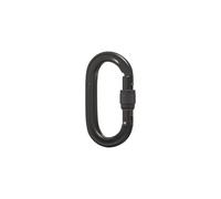 Mousqueton BLACK DIAMOND Oval Keylock Screwgate Carabiner (Noir) Taille unique