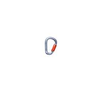 Mousqueton BLACK DIAMOND PEARLOCK TWISTLOCK CARABINER (Gray) ALL SIZES