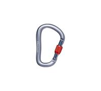 Mousqueton BLACK DIAMOND Rocklock Screwgate Carabiner (Gray) Taille unique