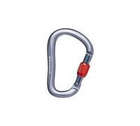 Mousqueton black diamond rocklock screwgate carabiner gris