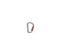 Black Diamond Mousqueton Vaporlock Twistlock gris argenté