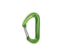 Mousqueton camp nano 22 vert