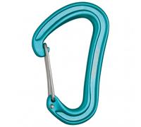 Mousqueton EDELRID Nineteen G (icemint) Taille unique
