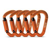 Mousqueton Escalade, 5PCS Mousquetons Verrouillage Automatique, 25kN Mousqueton, Certifié CE, Solide, pour Alpinisme, Laisse Chien, Sac de Frappe, Pompier, Hamac, Porte clé, Forme de D