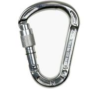 Mousqueton escalade Climbing Technology Concept SG - silver - TU