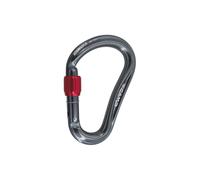 Mousqueton HMS CAMP Atom Lock (Gun metal) TU