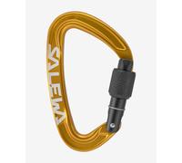 Salewa Ortles Screw Carabiner, Orange, UNI