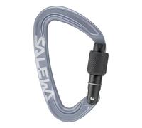 Salewa - Ortles Screw Carabiner - Mousqueton à vis - grey