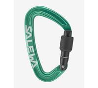 Mousqueton Salewa Ortles Screw vert