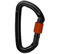 Mousqueton - Wildcountry - Session - Fermeture à vis - Haute résistance - Conception compacte