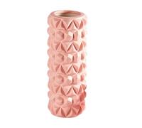 Mousse À Rouleaux De Yoga - Journal De Récupération, Largement Utilise Un Rouleau De Gym | Rouleau De Tension Léger, Aide À La Thérapie Vertébrale Pour Les Étirements Du Dos, Soutien Musculaire Des Br