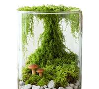 Mousse Artificielle pour travaux manuels - 300 g de décoration de Jardin, Mousse Verte pour - pour extérieur, Maison, Mur, Vase, Terrarium, Grasses, Noël, Automne, Hiver, fête de