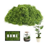 Mousse Artificielle Premium 200g - Décoration Végétale Réaliste, Fausse Mousse Naturelle Préservée Sans Entretien pour Compositions Florales, Créations Artistiques, Artisanat, Décors de Jardin & Aména