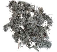 Mousse de lichen Mousse d'arbre Deko Nature 1kg - Art floral naturel, bricolage & loisirs créatifs