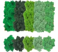 Mousse de Renne, Mousse Séchée pour Décorations, Mousse Naturelle Séchée, Mousse Préservée pour les tableaux de mousse, comme décoration ou pour l'artisanat (Cinq couleurs-200g)