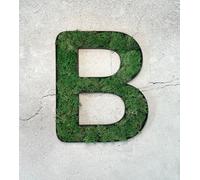 Mousse d'Islande - Lettre B/vert gazon