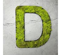 Mousse d'Islande - lettre D/vert vif