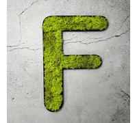 Mousse d'Islande - lettre F/vert vif
