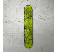 Mousse d'Islande - lettre I/vert vif