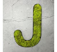 Mousse d'Islande - lettre J/vert vif