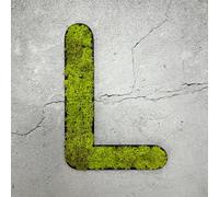 Mousse d'Islande - lettre L/vert vif