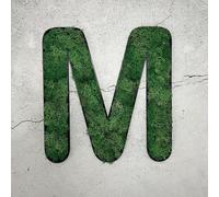 Mousse d'Islande - lettre M/vert gazon